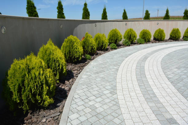 Reasons to Select Us for Your Driveway Paving Requirements in Rogers, TX